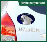 Parrot decal shown on car