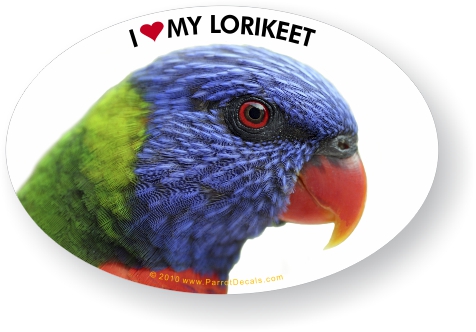 Lorikeet Parrot Car Window Decal /Bumper Sticker